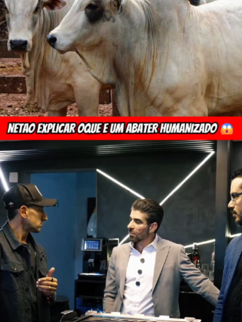 @netaobombeef1  NETAO EXPLICAR OQUE E UM ABATER HUMANIZADO 😱 #netaoclipfy #netaobombeef #clipfyleague