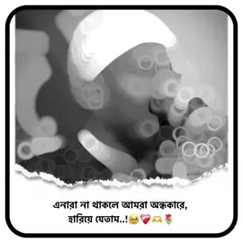 এনারা না থাকলে আমরা অন্ধকারে,  হারিয়ে যেতাম..! 🥹❤️‍🩹🫶🌷#ইসলামিক_ভিডিও_🤲🕋🤲 #ইসলামের_পথে_এসো😍 #foryou #foryoupage #ইনশাল্লাহ_যাবে_foryou_তে। 