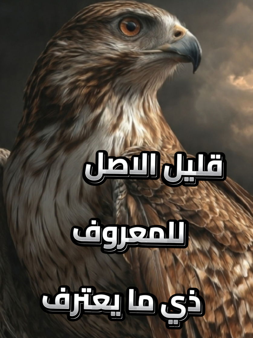 قليل الاصل للمعروف  ذي ما يعترف 👌🏻💯 #اليافعي #ثابت_عوض_اليهري #creatorsearchinsights  #اليمن🇾🇪المملكة🇸🇦  #fyp #fypシ #foryou #explore #2026 #fyp #تصميم_فيديوهات🎶🎤🎬 #شعروقصايد #2026 #viral 