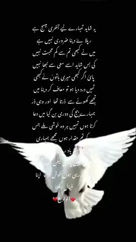 #Hayee #unfrezzmyaccount #growmyaccount #foryou #fypシ 