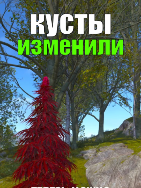 КУСТЫ С ТКАНЬЮ ИЗМЕНИЛИ В Rust/Раст? #rust #раст