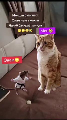 #Meme #MemeCut #CapCut #рек #рек 