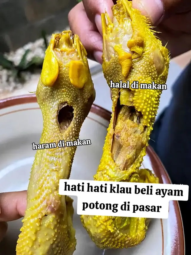 mau jelasin tentang tata cara nyembeih ayam Karena cara nyembeih ayam yang halal itu harus memotong satu kali potongan harus putus empat saluran utama. 1. Hulqum, saluran pernafasan 2. Mari', saluran makanan 3 & 4 itu Al wadajain, pembuluh darah utama yang di sisi kanan kiri ( yang ini sunnah).  Kalau sembelihannya seperti foto di bawah, yang hanya kena kulitnya saja ( cuma bolong) dan gak sampai mutus saluran otot di atas, maka sembelihannya tidak sah dan HARAM di makan. Mirisnya, yang kayak gitu buuanyak sekali di pasar dan warung2. Sing Ati2 nggih 🙏🏻🙏🏻 Faham nggih... 🙏🏻🙏🏻🙏🏻