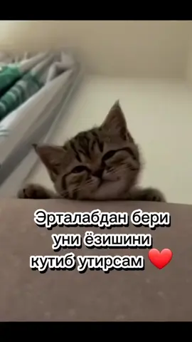 #ВэтотДень 