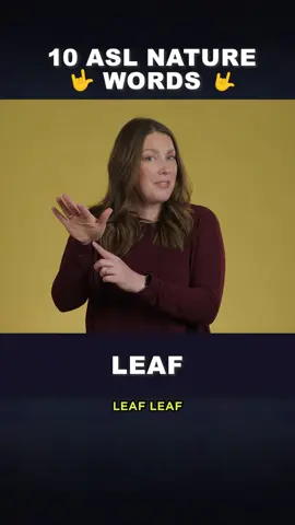 🤟 10 Nature Signs in ASL 🌲🏔️ #asl #naturesigns #learnhowtosign Desert, Canyon, Forest, Lake, Plant, Leaf, Rock, Sand/Dirt, Waterfall, Hill Want to learn ASL? 📚✨ Learn How to Sign makes it easy with engaging lessons, cultural insights, and real-world signing tips! Visit learnhowtosign.com/start or check out our YouTube channel 