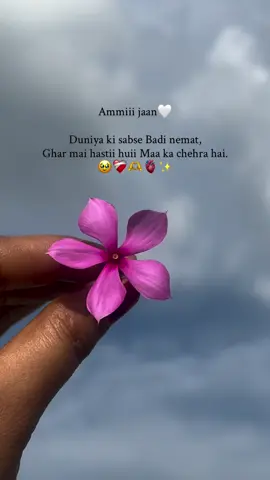 Maa chehra he #foryou #foryou #virlvideo #tiktok 
