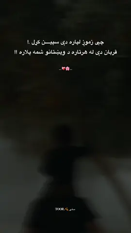 قربان دې له هر تاره د ویښتانو شمه پلاره ..!❤️‍🩹 🫂🌸 #createsearchinsights #foruyou #lines🥹💔 #father  #afghanistantiktoks @Khan11&11 