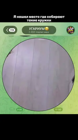 😂 Больше приколов — в Telegram: УГАРИУМ Смех — естественная реакция человека на что-то смешное, забавное или неожиданное. А здесь мы как раз собираем всё самое смешное: мемы, приколы, угарные видео, смешные моменты и юмор на каждый день 😂 Больше мемов и приколов — в Telegram: УГАРИУМ #приколы #мемы #смешныевидео #юмор #ржака