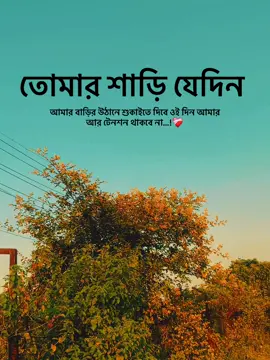 তোমার শাড়ি যেদিন আমার বাড়ির উঠানে শুকাইতে দিবে ওই দিন আমার আর টেনশন থাকবে না…!❤️‍🩹#fffffffffffyyyyyyyyyyypppppppppppp #foryoupage 