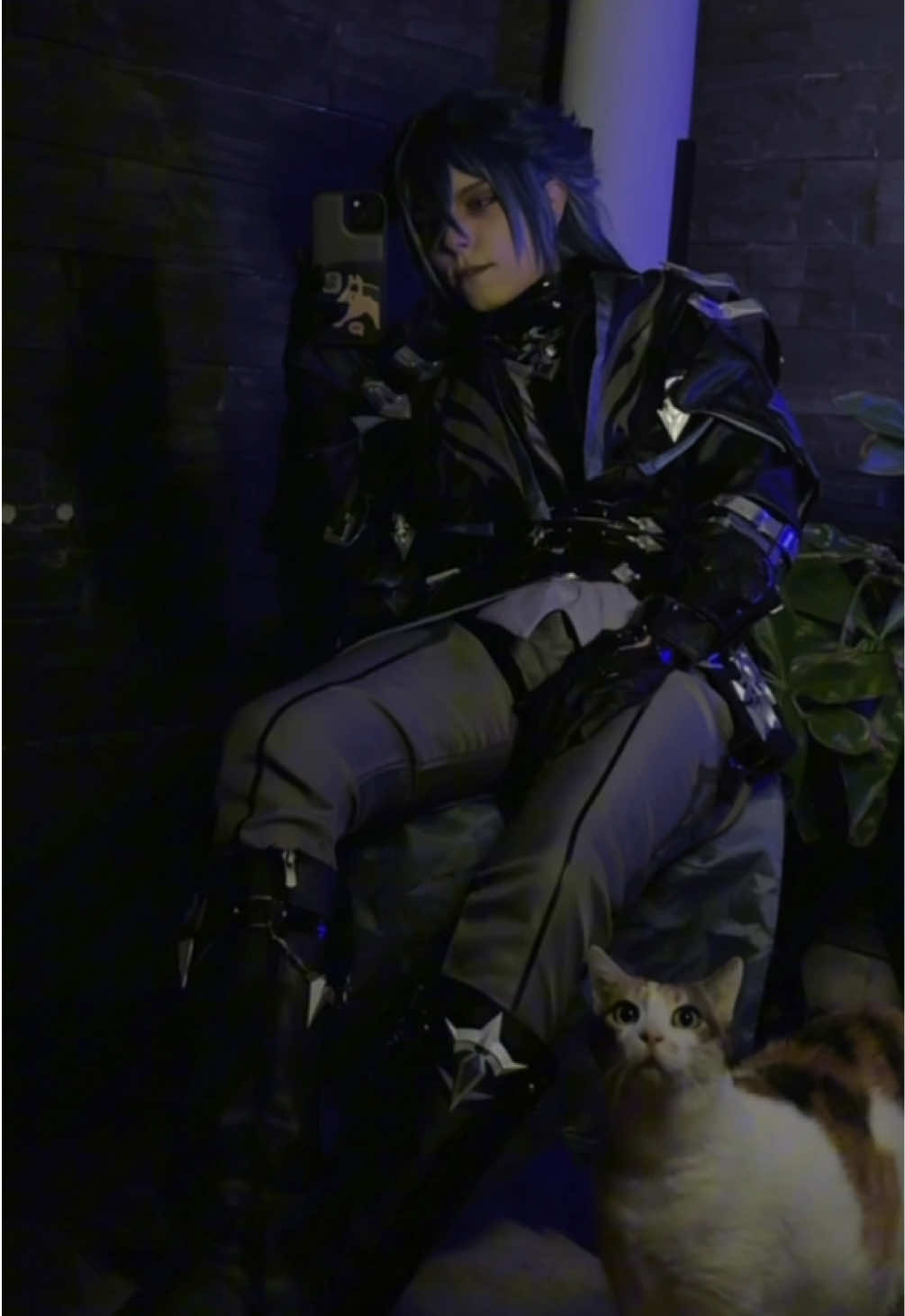 My cat is also a Fae guys 🤫 In love with this costume @dogegoo_offcial thank you for the opportunity!  You can check my Linktree to get ¥3000 CNY coupons 👀 #flinscosplay #GenshinImpact #explore 