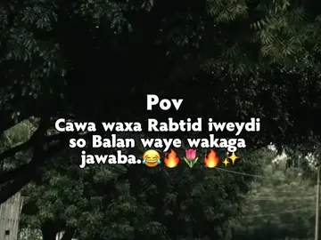pov✨️                                                                #fypシ゚ #viral #falow #fypシ゚viral 