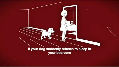 If your dog suddenly refuses to sleep in your bedroom - leave the door open. It's not avoiding you. It's standing guard.   #analoghorror #creepypasta #dog #horrortok #tiktokscaryhorrorcontest 
