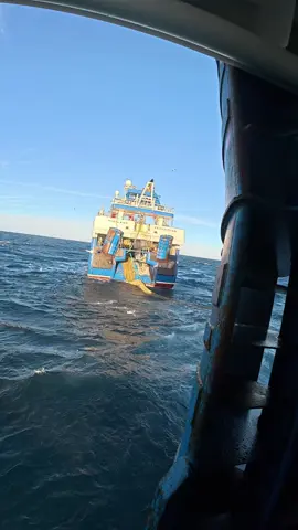After passing fish over to the Vigilant, we heave the bag aboard the Ocean Way for emptying the cod end 🐟 #fishing #cod end #fisherman #ocean way #fyp