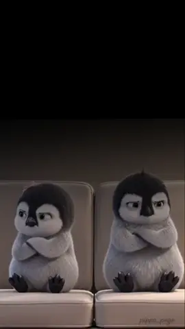 #CapCut 