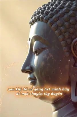 #CapCut sau khi cố gắng hết mình hảy để mọi chuyện tùy duyên,…🍂