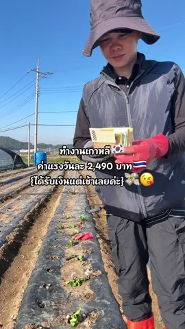 เถ้าแก่มาจ่ายเงินแต่เช้าเลย #เทรนด์วันนี้ #คนไทยในเกาหลีใต้🇹🇭🇰🇷 #นักล่าเงินวอน 