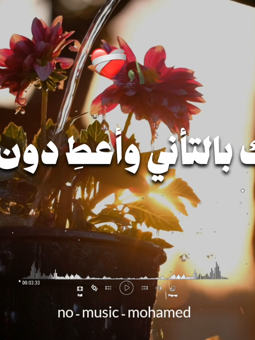 عليك بالتأنيوأعطِ دون منّ🎤🎬#اغانى-بدون-موسيقى #no-muisc-mohamed #اناشيد-إسلامية #fyp #foryouبدون-موسيقى