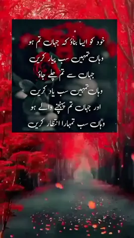 #🌹🌹🌹🌹🌹🌹🌹🌹🌹🌹🌹🌹  #fyppppppppppppppppppppppp 
