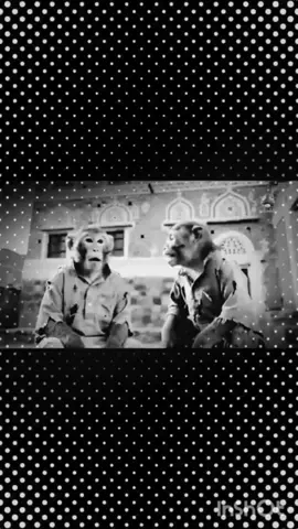#مالييييييييييييييي_خلق_احط_هشتقات_😂😂 
