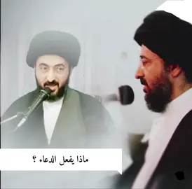 #السيد_محمد_رضا_الشيرازي 