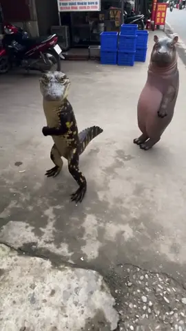 Hãi bọn này hơn cả hãi chó . Về kể gặp hà mã với cá sấu đuổi đánh ko ai tin