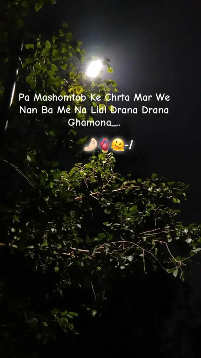 #shazzy_wri8es #darkaesthetic #urduline #pashto #Fyp 