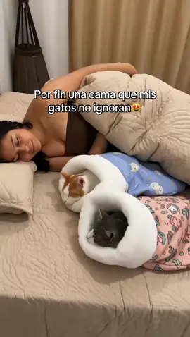 Una cama que mis gatos aman ya que los abriga #catbed #cozycats #snuggleseason #gatosabrigados #cama ellos siempre han ignorado las camas que les compro, pero esta vez sucedio algo diferente, les encanta esta cama ya que sienten abrigo por ambos lados, es el escondite perfecto 😻