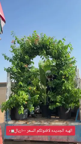 #كنبات #كنب #كنبات_مجالس #كنبات_مجالس_عربية_مودرن_اطقم_فخمة #كنب_كلاسيكي 