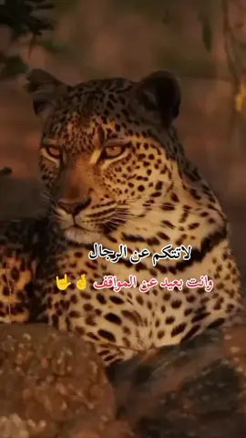 #عباراتكم_الفخمه📿📌 #عبارات_جميلة_وقويه😉🖤 