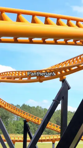 Such an amazing coaster  #kingsdominion #pantherian #intense #amazing #rollercoaster 