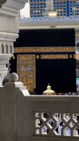 Post:146❤️🥀❤️kardo karam mola kardo karam madinah munawra Madinah, the City of the Prophet, shines bright A beacon of faith, where Islam's history takes flight The Masjid an-Nabawi, a mosque of grandeur and might Where the Prophet Muhammad's tomb is a sacred sight The city's streets are lined with date palms, green and tall A tranquil oasis, where faith and peace enthrall Madinah's rich history and heritage are palpable and real Madinah's rich history and heritage are palpable and real A place where Muslims from all over the world come to feel The city's warm hospitality and welcoming smile Make it a place of pilgrimage, worth traveling a long while #plztiktokteamdontuderiewmyvideos #foryoupage #hasnain_rajput110 #unfreezemyacount 