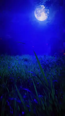 #halloween 