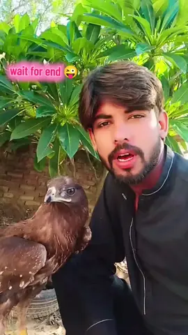 Rana #Manan#fypシ゚viral #funny contact اور ساڈے گورنمنٹ ٹیچر 😂🤣😅🤣🤣