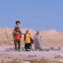 المسافه بين بوابه الجامعه والكليه:  #جامعه_كفرالشيخ_الاهليه #KNU #fyp #foryou #memes 
