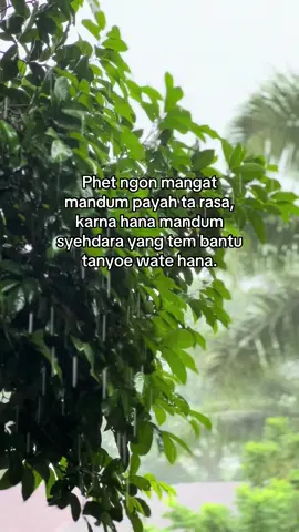 #fypシ゚viral #katakataaceh✨ #viralvideo 