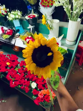 Tomar jonno .🌻...💐..🫀.. #viral #4k120fps #sunflower #flowers #fyp