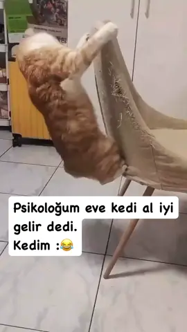 kesvet tutsun 