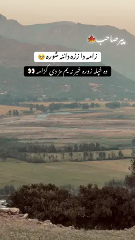 زامہ دا زڑہ داننہ شورہ 🥺#dontunderreviewmyvideo #creatorsearchinsights #foryou #fyp @پیرستان 