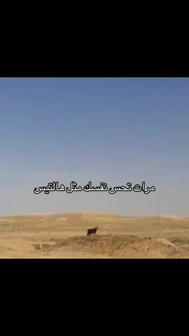يعد برج المملكة واحدًا من أبرز المعالم المعمارية في الرياض، ورمزا حديثا يعكس تطور المملكة العربية السعودية ونهضتها العمرانية. منذ افتتاحه، أصبح البرج وجهة رئيسية للسكان والزوار، ليس فقط لارتفاعه المميز، بل أيضًا لما يقدمه من مرافق متنوعة وتجربة فريدة. تم افتتاح برج المملكة عام 2002، وهو مشروع تابع لشركة شركة المملكة القابضة التي يملكها الأمير الوليد بن طلال. يبلغ ارتفاع البرج حوالي 302 متر، ويتكون من 99 طابقا، ما جعله لفترة طويلة أحد أطول المباني في قدد الشرق الأوسط، تضميمه الفريد الذي يشتبه فتحة القوسة فلي عط أعلاه يميزه عن بقية ناطحات السلحاب، وقد صمم ليكون تحفة معمارية تجمع بين الحداثة والهوية المحلية. يضم البرج مجموعة واسعة من المرافق، منها مكاتب إدارية، وشقق سكنية فاخرة بالإضافة إلى فندق فورسيزونز الرياض الذي يعد من أفخم الفنادق في المدينة. كما يحتوي على مركز تسوق ضخم يعرف باسم مملكة مول، ويضم العديد من العلامات التجارية العالمية والمطاعم الراقية من أبرز معالم #viral #fyp #xyzbca #foryoupage 