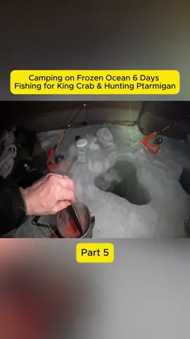 #campinglife #viral #foraging #usa #survial 