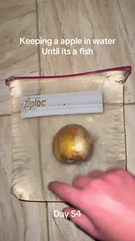 #viralchallenge #pleasedontflop #sciencefun #appleexperiment #appleinwater 