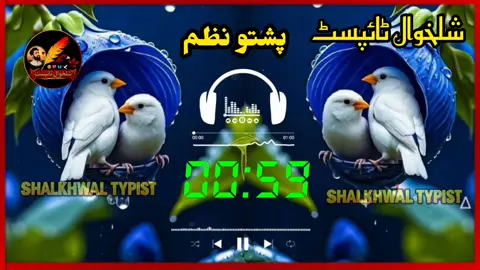 #پشتونظم💔 #please #viralvideo #IslamicPoetry #followers😘 @💎✨ احمد شاہ | ٹائپسٹ ✨💎 @A͡ h͡ m͡ a͡ d͡  S͡ h͡ a͡ H͡ 