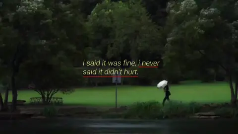 I said it was fine. #foryou #music #fyp #quotes 