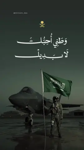 ‏🇸🇦💚وطني أحبّك لا بديل تم انشاء الصوت والتصوير بالذكاء الاصطناعي   #السعودية #السعودية_خط_أحمر 