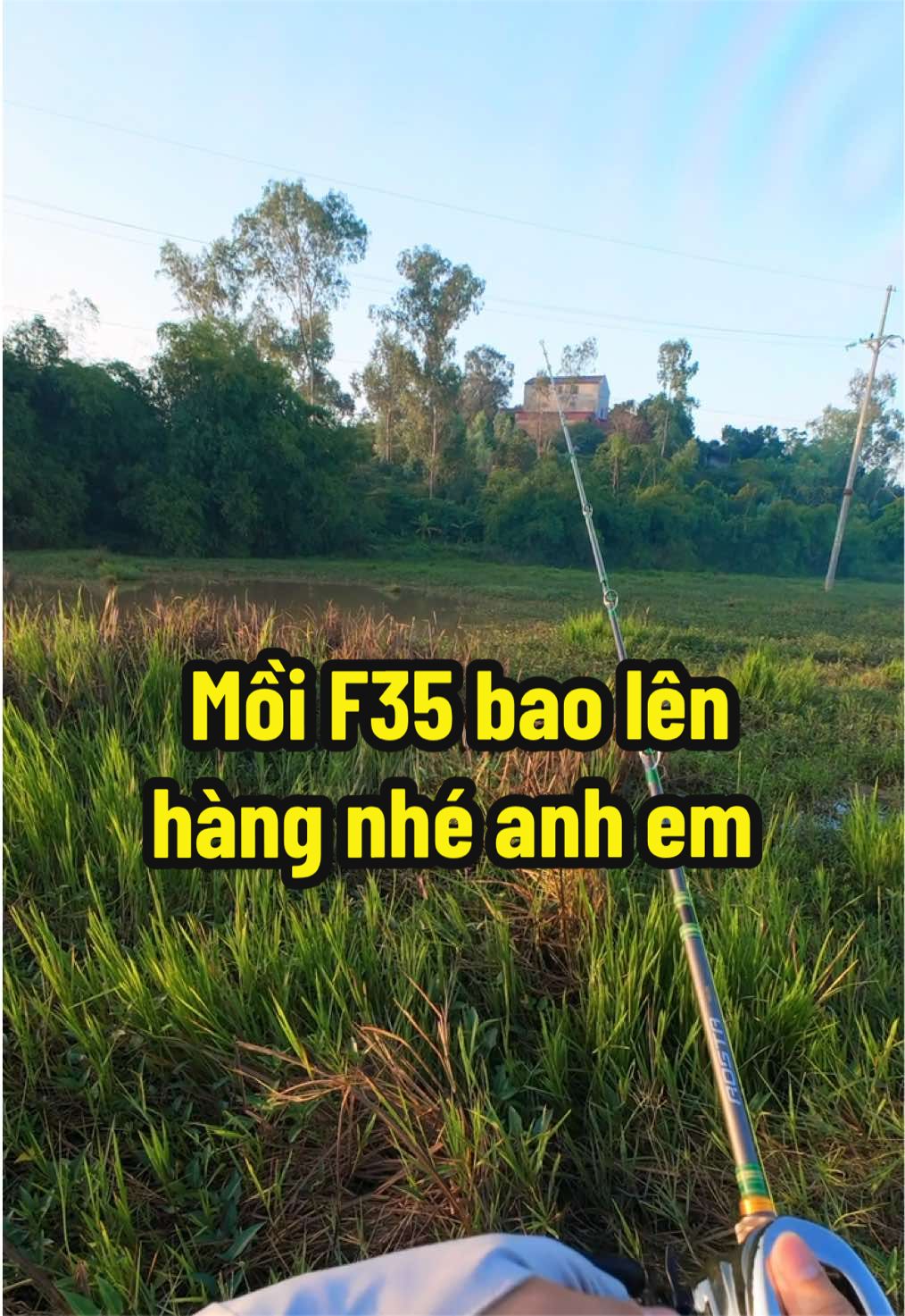 Bú bình táp rất hăng anh em ạ. #caucagiaitri #caucatunhien #truongnguyen.fishing #xuhuong #fyp