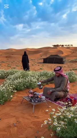 حنيت حنت خلوجٍ فالها شيبني #ربابة #تبوك_الورد_تبوك_تيماء_ضباء_حقل #الرياض_جده_مكه_الدمام_المدينه #الدمام_الخبر_الاحساء_الجبيل_الظهران #سوريا_تركيا_العراق_السعودية_الكويت #الجوف_سكاكا_دومة_طبرجل_القريات_ابوعجرم #الخليج_الكويت_السعودية_قطر_البحرين 