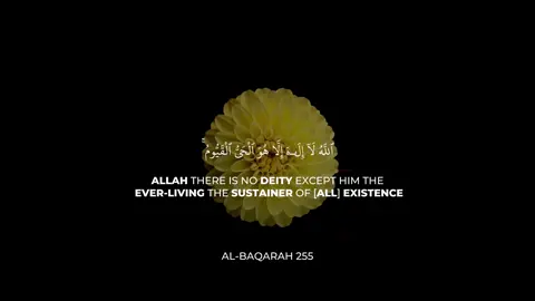 #quran 