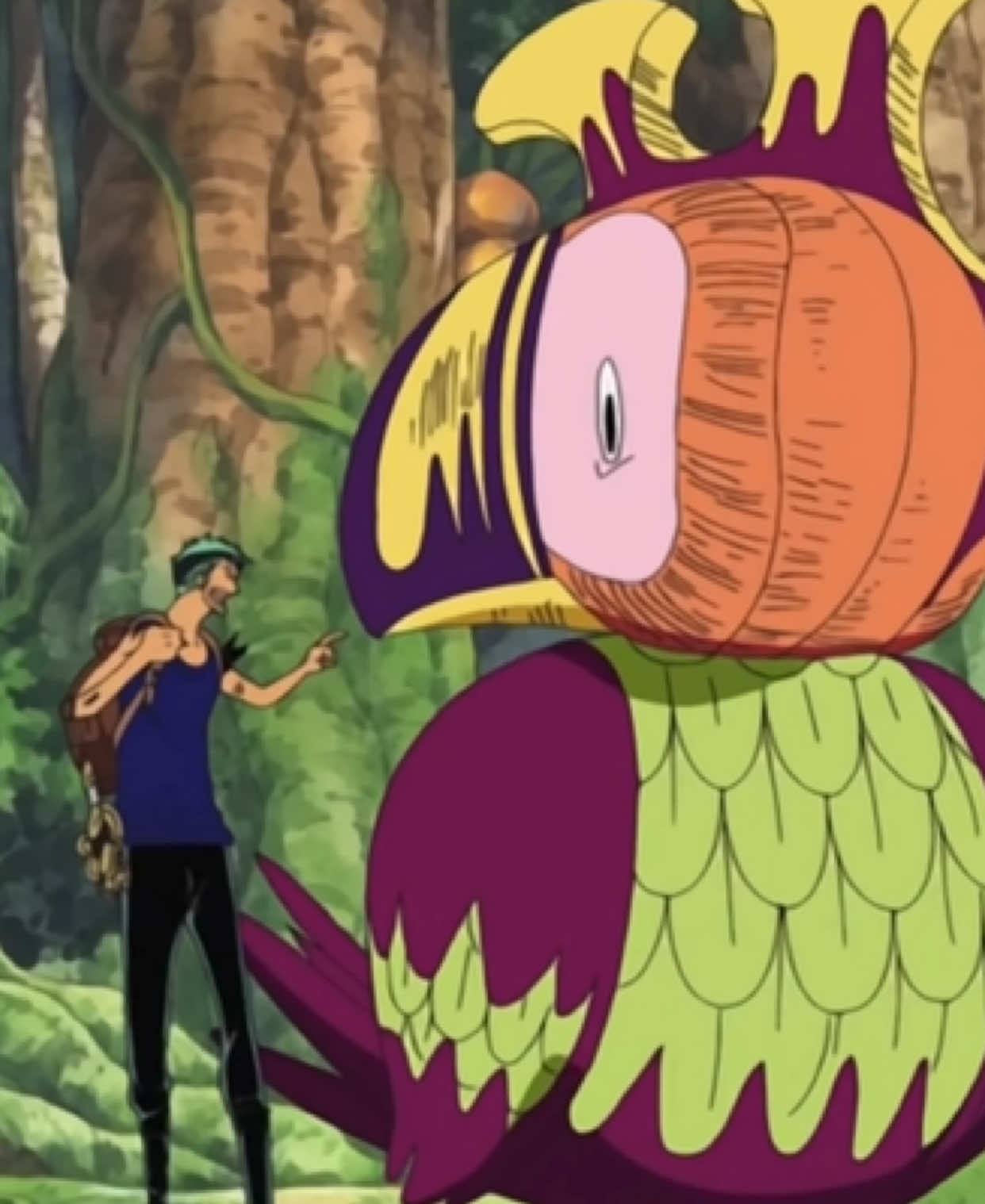 one piece skypeia arc funny moments ☁️⚡️🏴‍☠️⚓️ someone asked for more compilations so here it is!! 💟✌🏽 realizing pre time skip zoro was so different, i miss his goofy side #onepiece #monkeydluffy #luffy #anime #zoro 