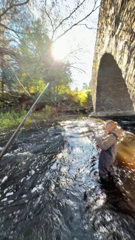 pb boot nasty on the 4 weight #salmon #boots #salmonriver #kingsalmon #flyfishing 