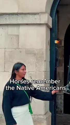Horses remember the Native Americans . 